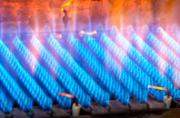 Gossington gas fired boilers